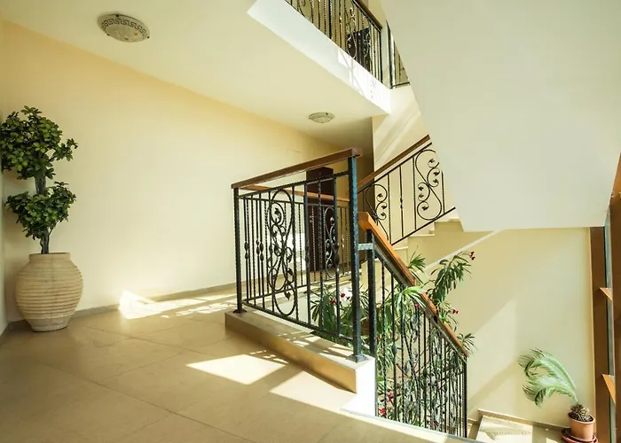 зафи Apartamento